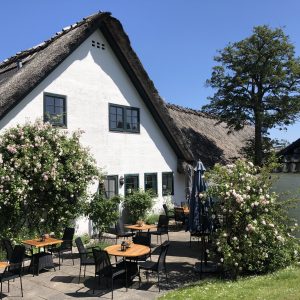 Rosenhaven sommer 19